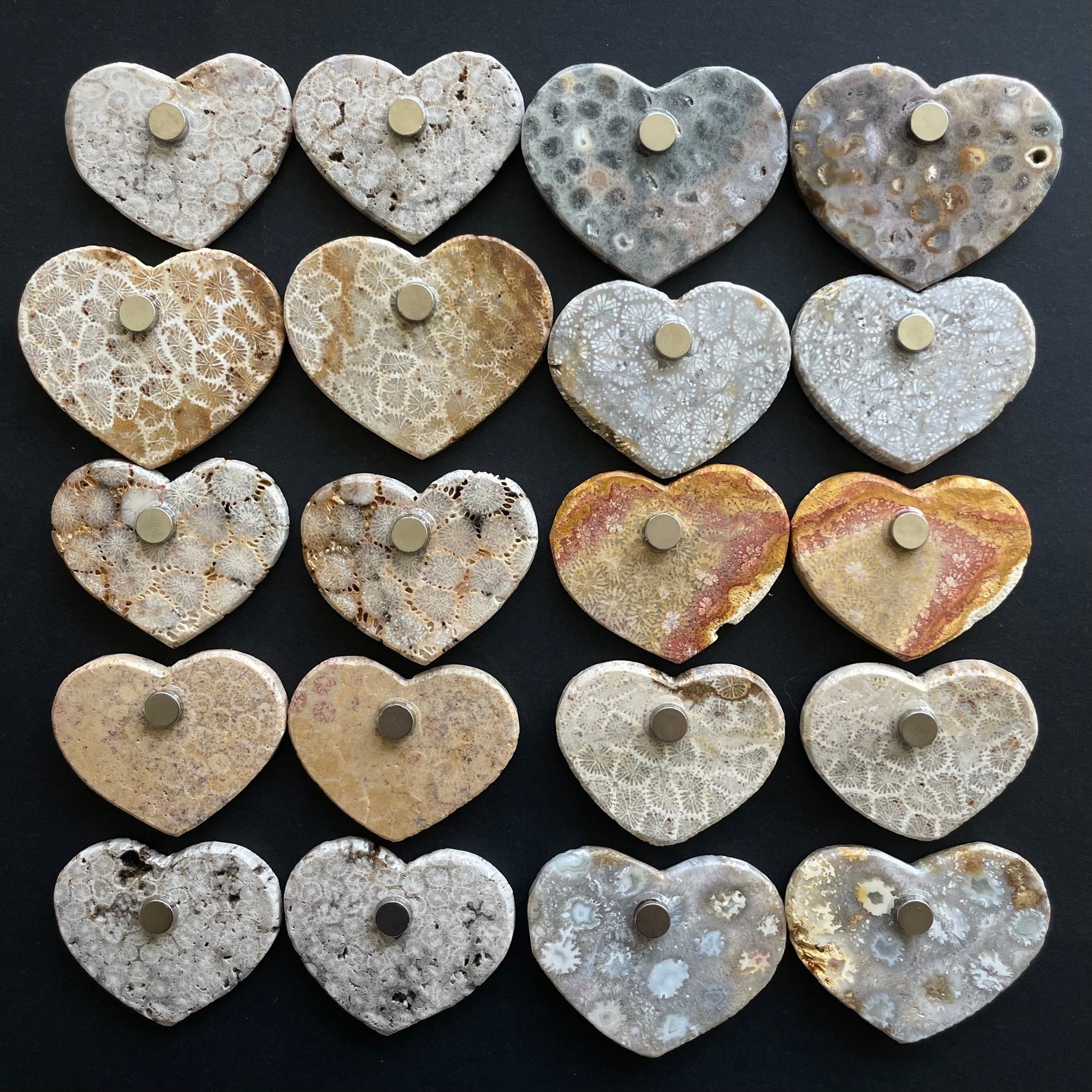 Fossilized Coral Magnet Pairs