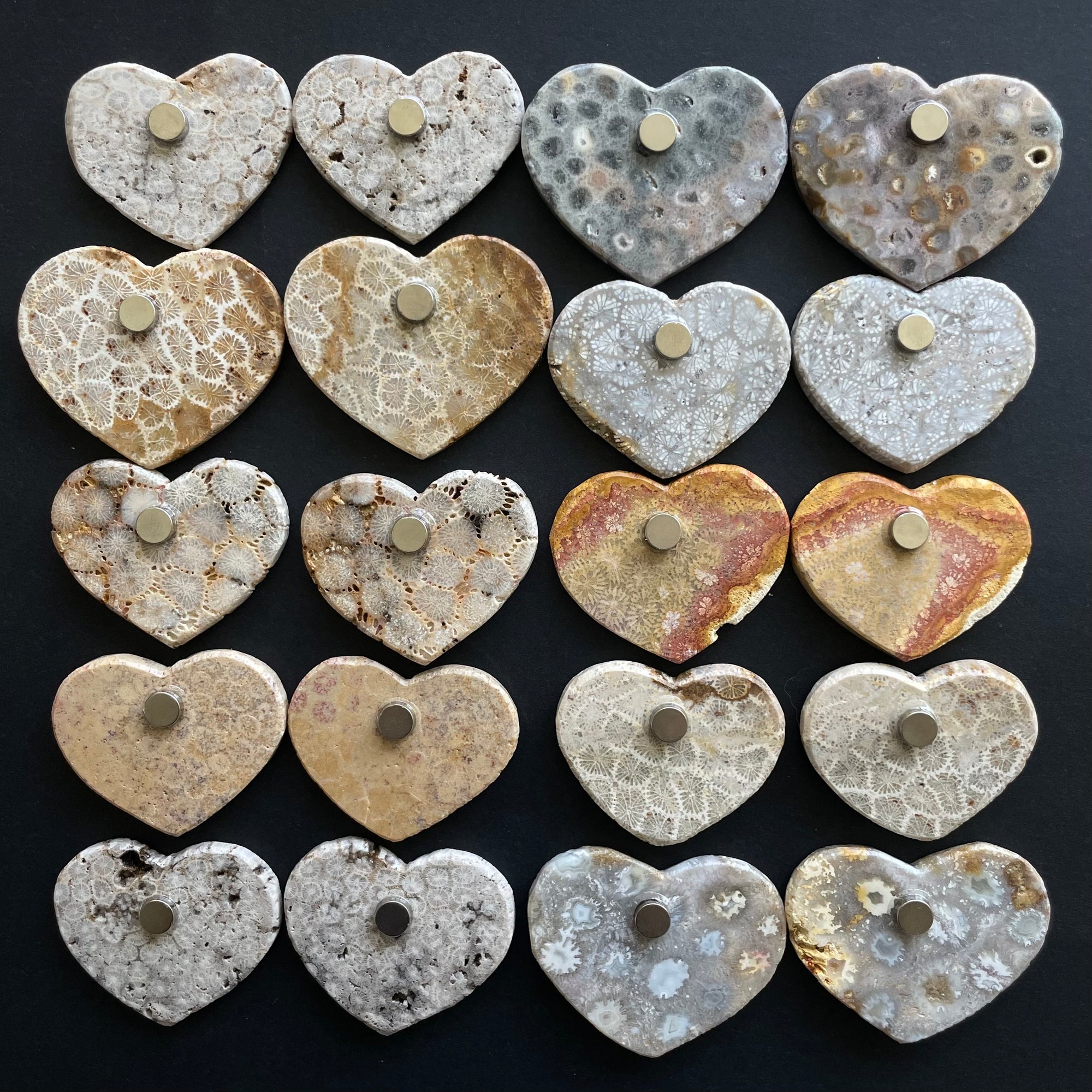 Fossilized Coral Magnet Pairs