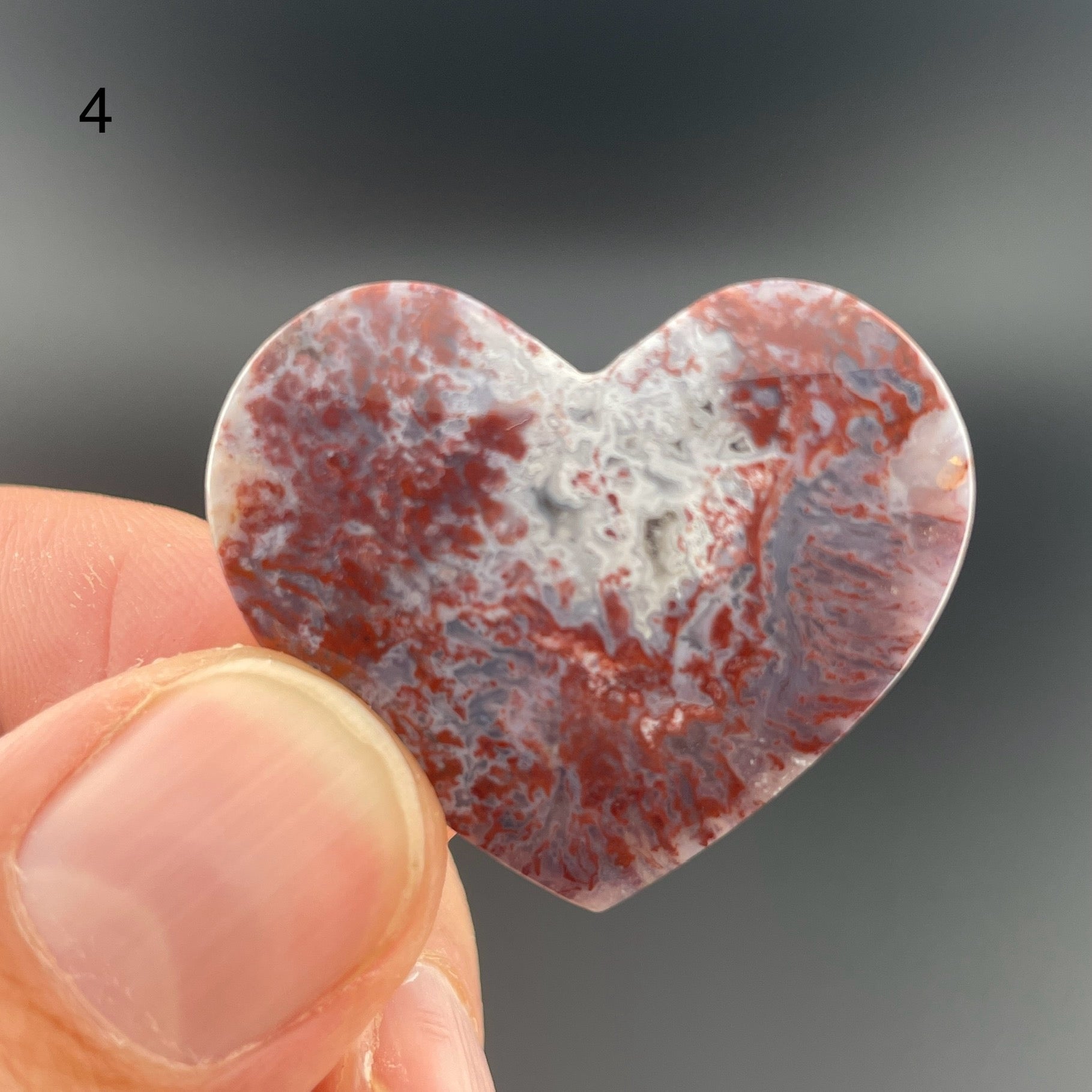 Red and White Ocean Jasper