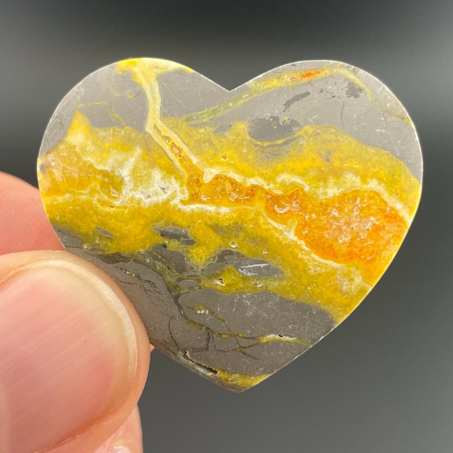 Bumblebee Jasper